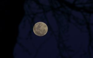 Preview wallpaper full moon, moon, branches, silhouettes, night, dark