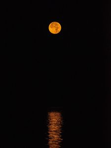 Preview wallpaper full moon, moon, reflection, night, darkness