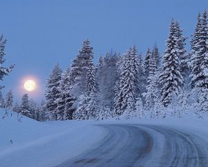 Preview wallpaper full moon, night, sky, road, lifting, snow, wood, trees