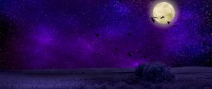 Preview wallpaper full moon, starry sky, birds, night, photoshop