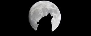Preview wallpaper full moon, wolf, howl, bw