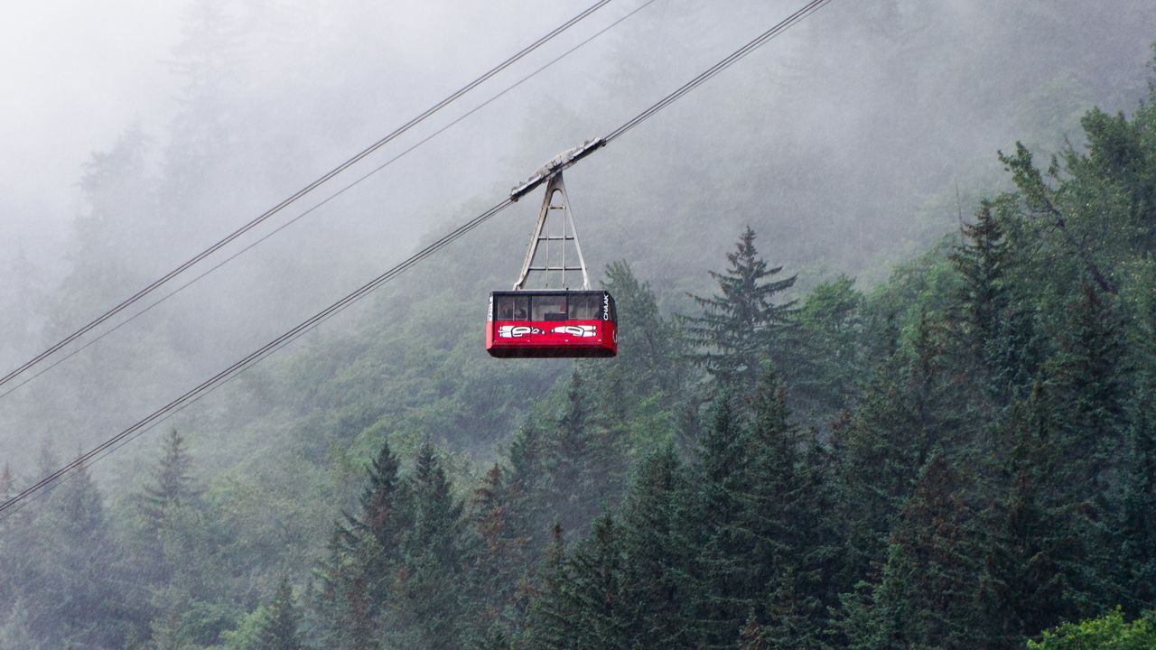 Wallpaper funicular, trees, forest, fog