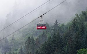 Preview wallpaper funicular, trees, forest, fog