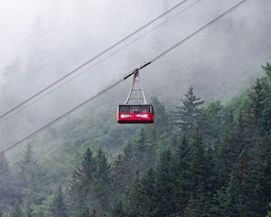 Preview wallpaper funicular, trees, forest, fog