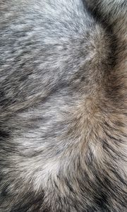 Preview wallpaper fur, hair, texture