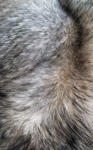 Preview wallpaper fur, hair, texture