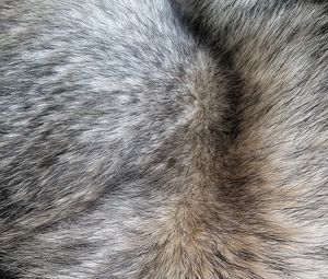 Preview wallpaper fur, hair, texture