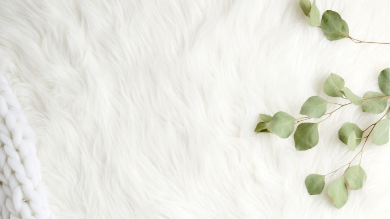 Wallpaper fur, pile, branches, leaves, white