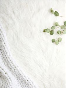 Preview wallpaper fur, pile, branches, leaves, white