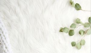 Preview wallpaper fur, pile, branches, leaves, white