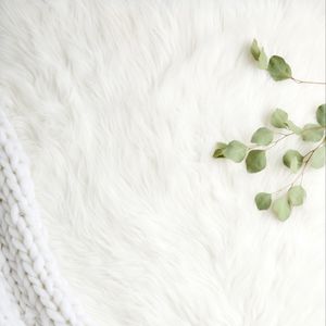 Preview wallpaper fur, pile, branches, leaves, white
