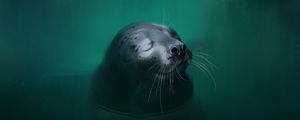 Preview wallpaper fur seal, animal, cute, water, art