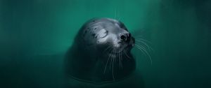 Preview wallpaper fur seal, animal, cute, water, art