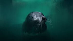 Preview wallpaper fur seal, animal, cute, water, art