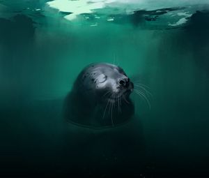 Preview wallpaper fur seal, animal, cute, water, art