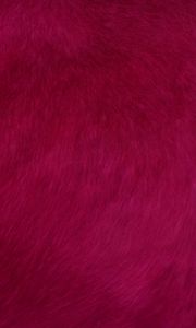 Preview wallpaper fur, texture, red, surface