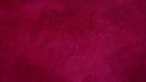 Preview wallpaper fur, texture, red, surface