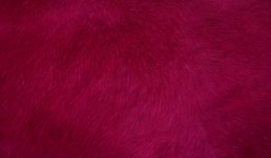 Preview wallpaper fur, texture, red, surface