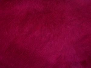 Preview wallpaper fur, texture, red, surface