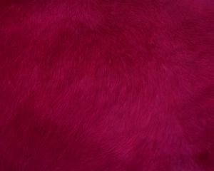 Preview wallpaper fur, texture, red, surface