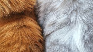 Preview wallpaper fur, wool, macro, texture