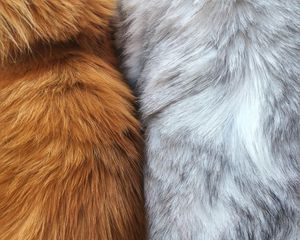 Preview wallpaper fur, wool, macro, texture