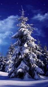 Preview wallpaper fur-trees, trees, clouds, snow, moon, sky, snowdrifts