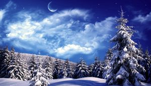 Preview wallpaper fur-trees, trees, clouds, snow, moon, sky, snowdrifts