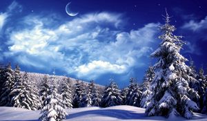 Preview wallpaper fur-trees, trees, clouds, snow, moon, sky, snowdrifts