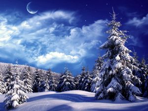 Preview wallpaper fur-trees, trees, clouds, snow, moon, sky, snowdrifts