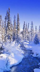 Preview wallpaper fur-trees, trees, snow, river, snowdrifts, bushes, hoarfrost