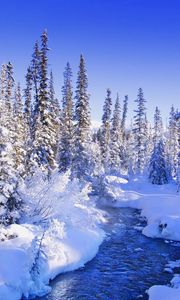 Preview wallpaper fur-trees, trees, snow, river, snowdrifts, bushes, hoarfrost