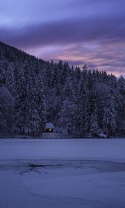 Preview wallpaper fusine, italy, lake, trees, structure