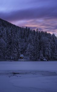 Preview wallpaper fusine, italy, lake, trees, structure