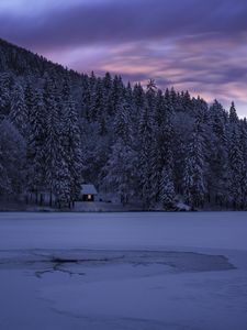 Preview wallpaper fusine, italy, lake, trees, structure