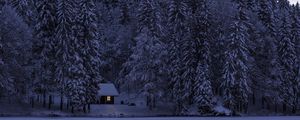 Preview wallpaper fusine, italy, lake, trees, structure