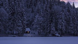 Preview wallpaper fusine, italy, lake, trees, structure