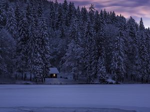 Preview wallpaper fusine, italy, lake, trees, structure