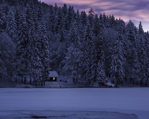 Preview wallpaper fusine, italy, lake, trees, structure