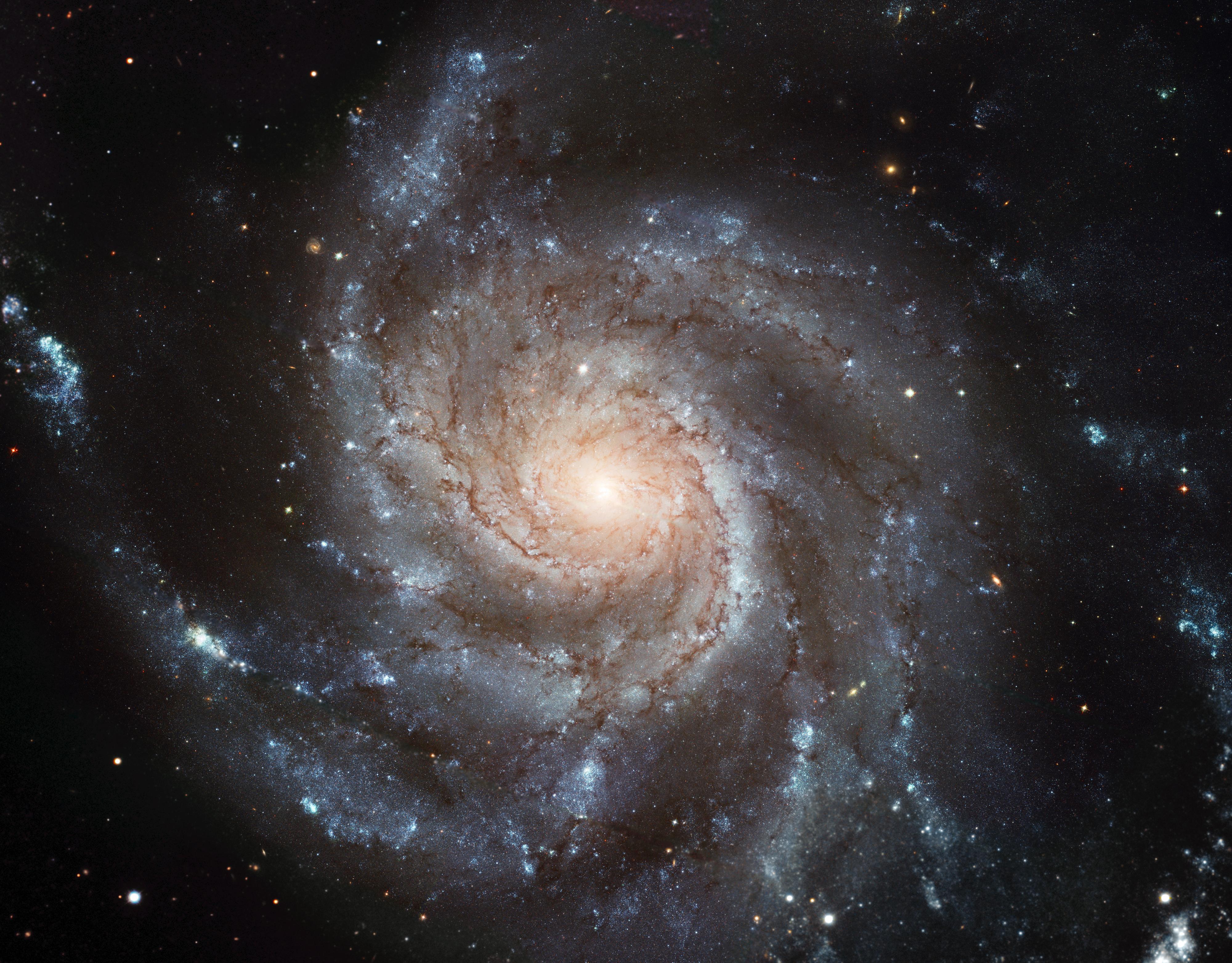 4000x3127 Wallpaper galaxy, pinwheel galaxy, spiral, messier, stars, space, astronomy, shine