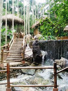 Preview wallpaper garden, falls, protection, arbor, trees, stones, streams