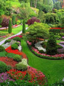 Preview wallpaper garden, footpaths, flowers, trees, grass, lawn, well-groomed