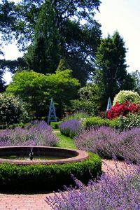 Preview wallpaper garden, fountain, flowers