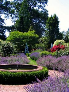 Preview wallpaper garden, fountain, flowers