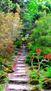 Preview wallpaper garden, green, brightly, vegetation, trees, branches, steps
