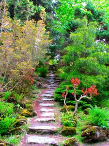 Preview wallpaper garden, green, brightly, vegetation, trees, branches, steps