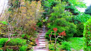 Preview wallpaper garden, green, brightly, vegetation, trees, branches, steps