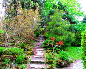 Preview wallpaper garden, green, brightly, vegetation, trees, branches, steps