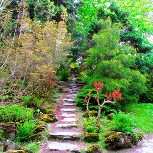 Preview wallpaper garden, green, brightly, vegetation, trees, branches, steps