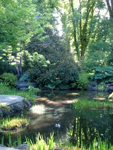 Preview wallpaper garden, pond, trees, shadows, light, water